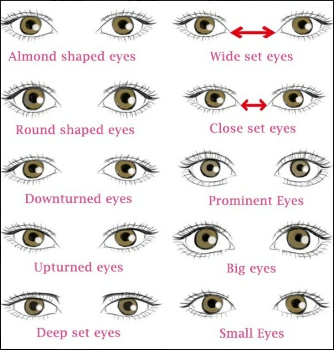 eye shapes