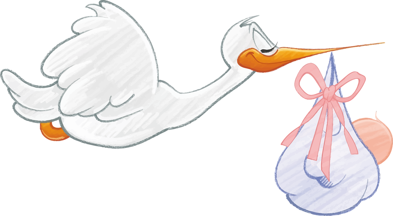 Stork Delivering a baby-image